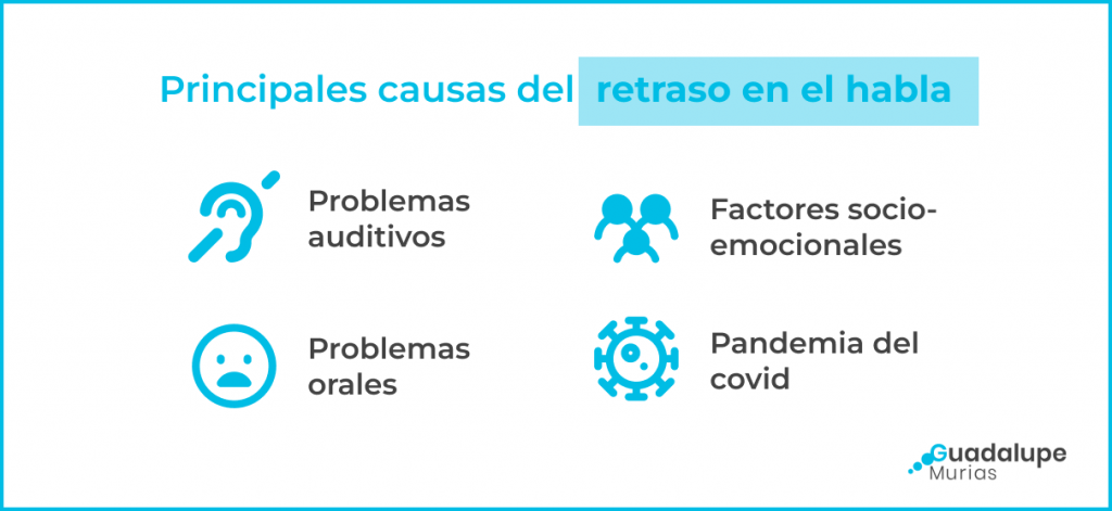 Infografía sobre causas que provocan un retraso del habla y del lenguaje